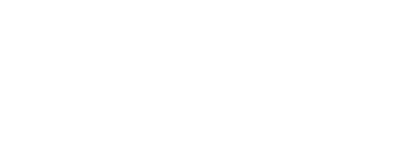 LEXUS VIỆT NAM